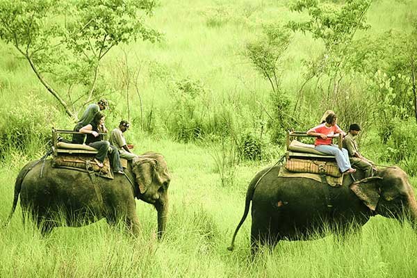 RainForest Resort Tour Packages