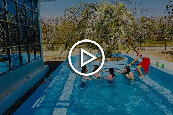 RainForest_Video